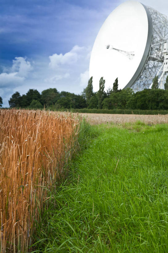 无人,天文台,竖图,室外,白天,技术,美景,英国,科学,景观,云,干草,草,树,天空,自然,景色,摄影,宁静,自然风光,天文学,射电望远镜,柴郡,彩图,克鲁
