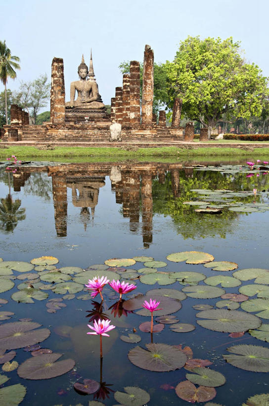 无人,公园,竖图,室外,白天,湖,建筑,睡莲,泰国,反射,雕像,历史,素可泰,天空,自然,摄影,宗教,佛教,生长,彩图