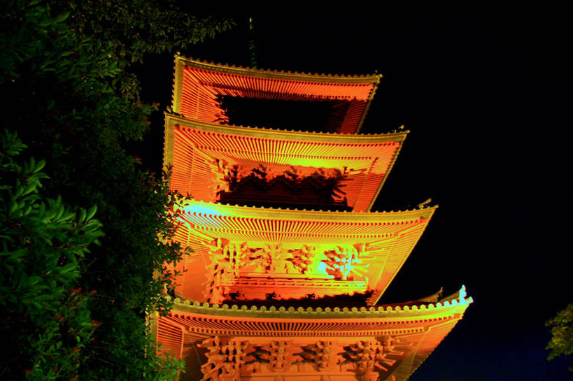 无人,横图,室外,夜晚,仰视,建筑,日本,日本文化,屋顶,枝,宝塔,摄影,宗教,照亮,彩图,低角度拍摄