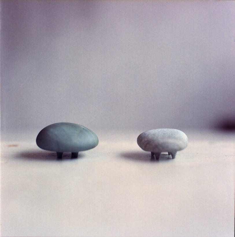 无人,竖图,室内,特写,地板,日本,神奈川县,两个,自然,摄影,想法,彩图