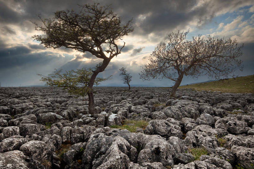无人,横图,室外,白天,美景,道路,路,英国,景观,云,小路,交通,英格兰,树,天空,自然,山楂树,景色,摄影,宁静,自然风光,约克郡,自然地理,岩石,彩图