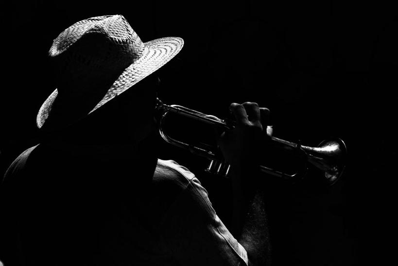 成年人,脸,头,脸颊,一个人,横图,黑白,帽子,马耳他,仅一个男性,表演,黑色背景,金属,树荫,小号,音乐,弹奏,肩膀,背面,摄影,剪影,音乐人,头部,脸部,脸蛋,面部,影棚拍摄,传统文化