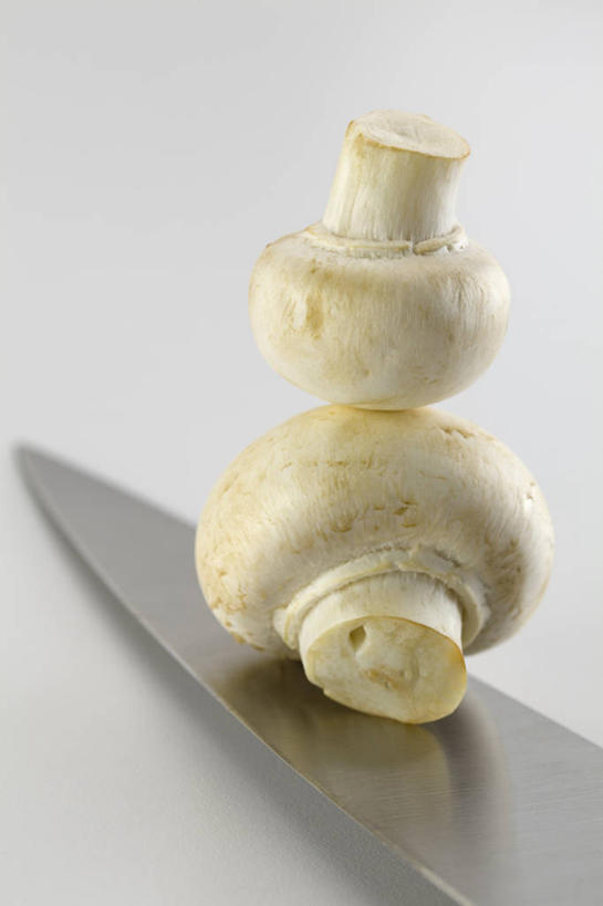 无人,竖图,特写,白色背景,静物,美国,准备,堆叠,三个,白色,食用菌,平衡,摄影,亚利桑那,清新,彩图,影棚拍摄