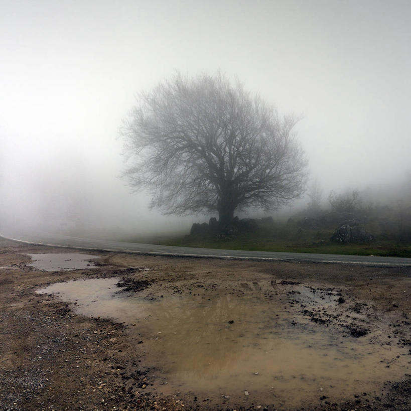 无人,方图,室外,白天,山,雾,西班牙,反射,天气,树,自然,摄影,宁静,早晨,水坑,彩图