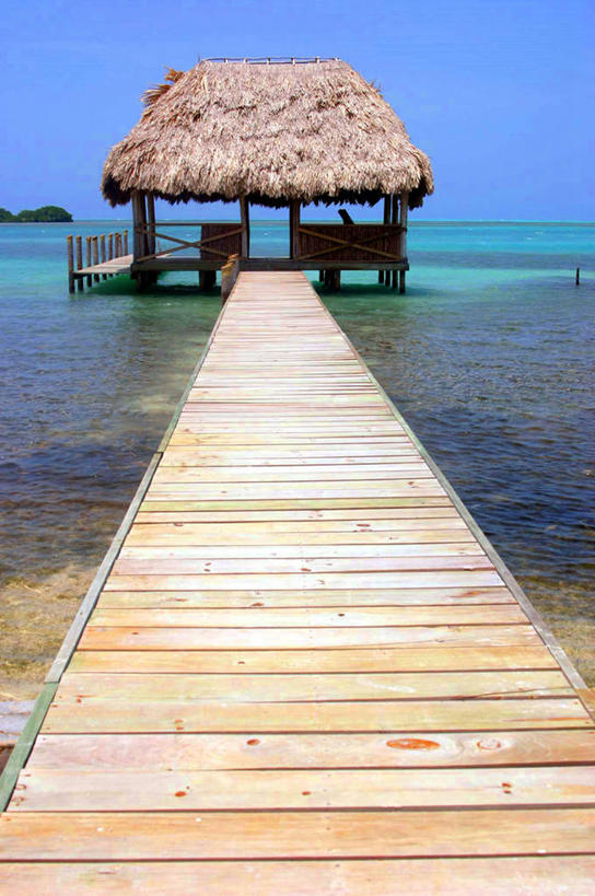 无人,家,竖图,室外,白天,海洋,伯利兹,木制,房屋,屋顶,屋子,草屋,水平线,顶棚,住宅,茅草屋,摄影,宁静,万里无云,海滩,彩图,房子,茅舍,茅屋,小屋