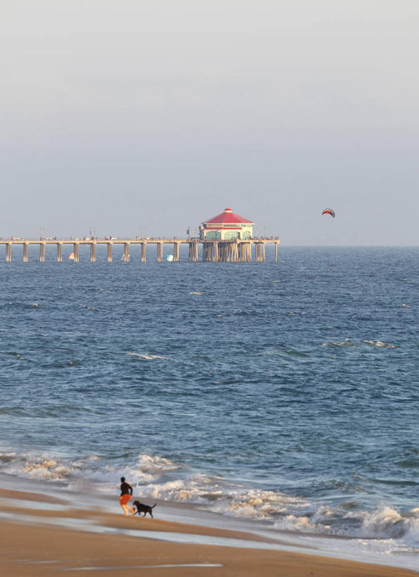 冲浪,成年人,一个人,码头,跑,竖图,室外,白天,海洋,建筑,狗,美国,仅一个女性,海岸线,自然,夏天,摄影,加利福尼亚,海滩,彩图