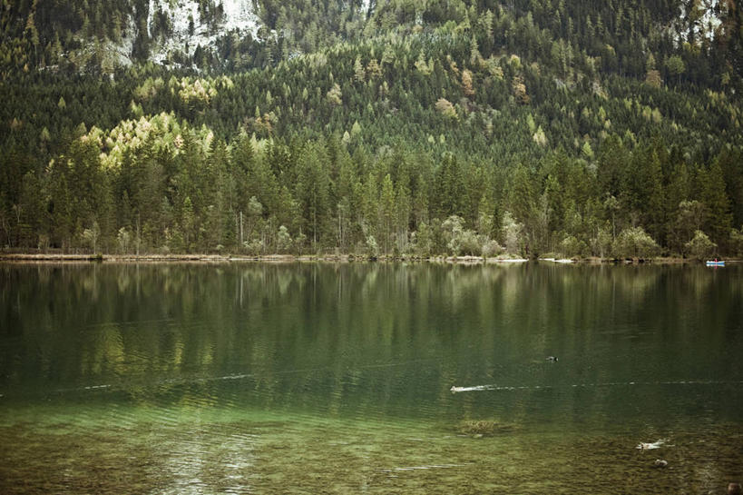 无人,横图,室外,白天,湖,森林,山,雪,植物,德国,反射,树,自然,摄影,宁静,贝希特斯加登,彩图