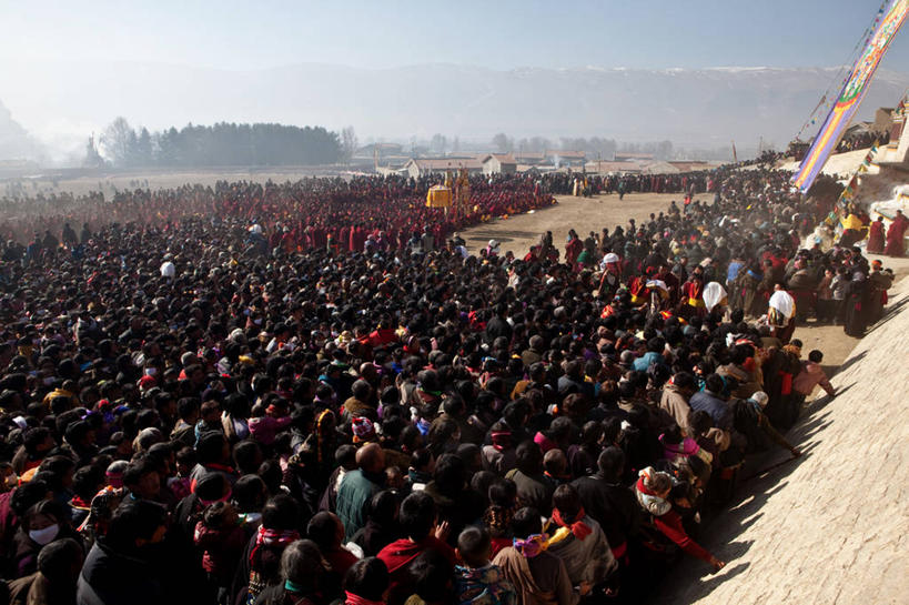 横图,俯视,室外,白天,阴影,丰富,庆祝,许多人,一群人,摄影,四川省,中国文化,群众,阿坝,彩图,高角度拍摄,传统文化,传统节日