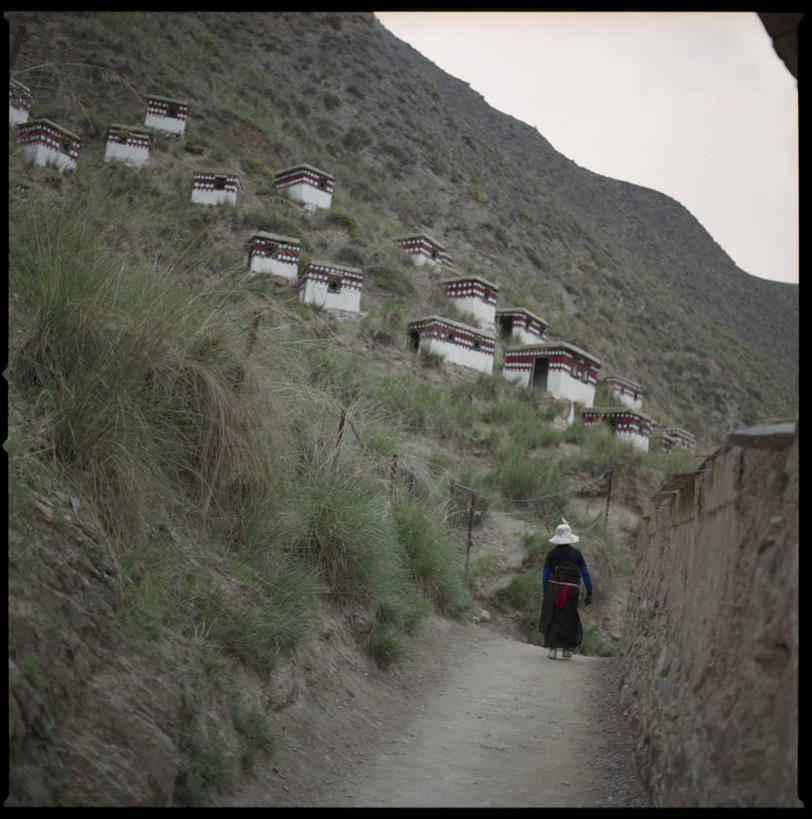 成年人,一个人,竖图,室外,白天,旅游,度假,美景,山,帽子,仅一个男性,景观,娱乐,草,自然,享受,休闲,景色,放松,摄影,灌木,自然风光,夏河,步行,彩图,独处