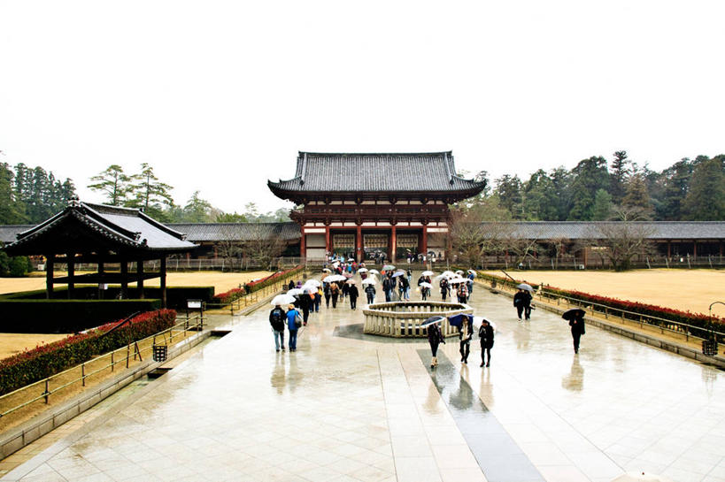 横图,室外,白天,建筑,奈良县,日本,亚洲,湿,日本文化,反射,伞,瓦,历史,树,天空,地标建筑,摄影,佛教,宗教建筑,东亚,本州,本州岛,日本国,近畿地方,奈良,东大寺,近畿,步行,彩图,大佛殿