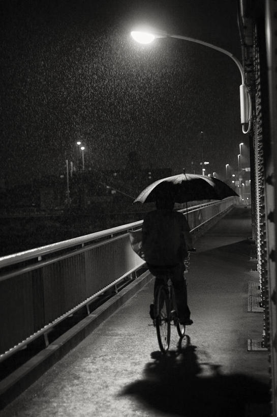 一个人,竖图,黑白,室外,夜晚,雨,路灯,自行车,日本,阴影,伞,天气,车,脚踏车,骑,交通工具,骑车,运输,摄影,保护,照亮,载具,岐阜县