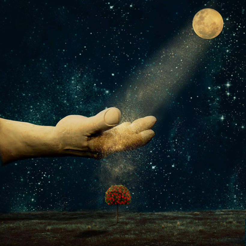 手,一个人,方图,室外,夜晚,新西兰,星星,满月,天空,自然,人体,摄影,部分,灰尘,接,天文学,想法,彩图