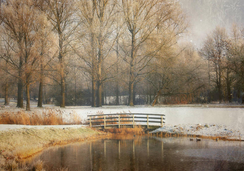 无人,横图,室外,白天,雪,荷兰,反射,地形,篱笆,冬天,桥,联系,树,自然,寒冷,摄影,宁静,奈梅亨,彩图