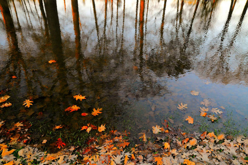 无人,横图,室外,白天,叶子,美国,反射,树,自然,摄影,宁静,改变,纽约州,水坑,秋天,彩图