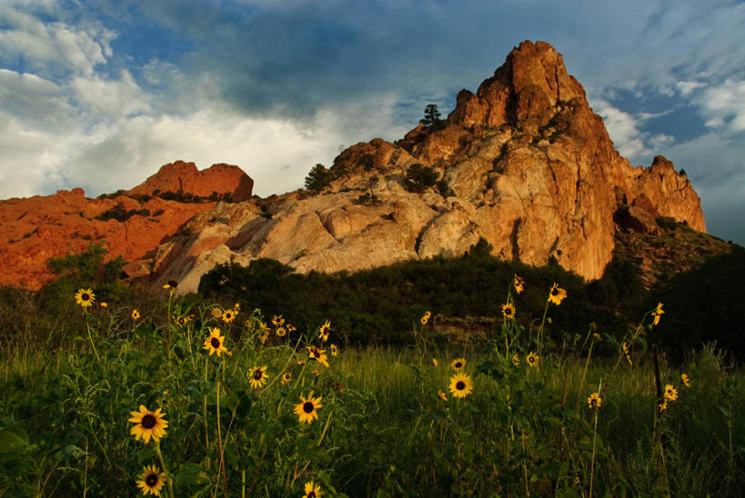 无人,横图,室外,白天,旅游,度假,美景,美国,盛开,景观,田地,云,花蕾,娱乐,草,花,花瓣,花朵,鲜花,自然,花苞,花蕊,享受,休闲,景色,放松,摄影,生长,园林,宁静,岩层,自然风光,科罗拉多斯普林斯,岩石,彩图