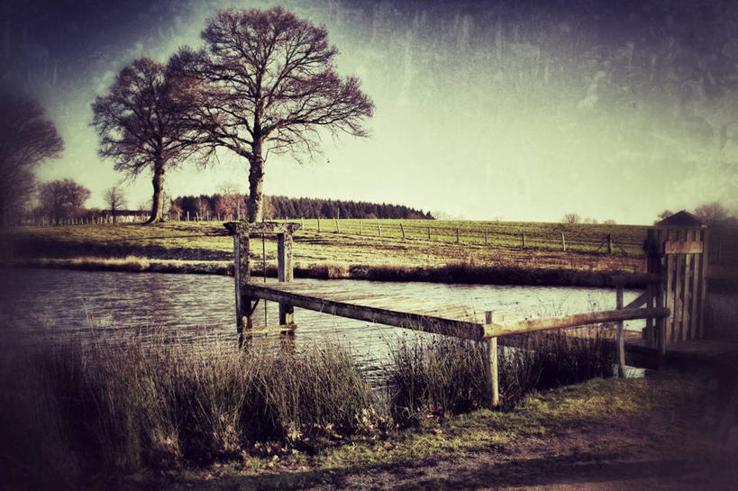 无人,横图,室外,白天,农业,湖,美景,法国,木制,地形,景观,田地,联系,草,树,自然,景色,摄影,宁静,自然风光,彩图,晕影,浮桥