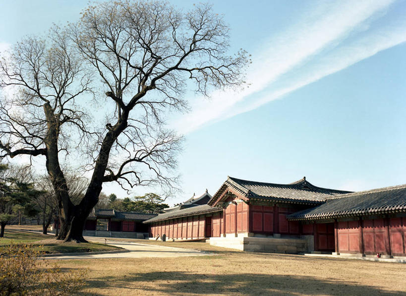 无人,横图,室外,白天,植物,建筑,首尔,韩国,云,首都,树,天空,自然,摄影,宁静,彩图