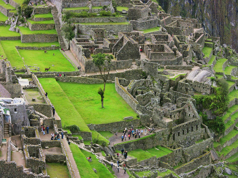 横图,俯视,室外,白天,旅游,建筑,秘鲁,行人,游客,游人,历史,路人,旅客,废墟,树,绿色,地标建筑,南美,摄影,踏步,考古学,南美洲,拉丁美洲,美洲,秘鲁共和国,马丘比丘,库斯科,首府,亚美利加洲,南亚美利加洲,玉米之仓,古代文明,库斯科省,过客,彩图,高角度拍摄,库斯科大区