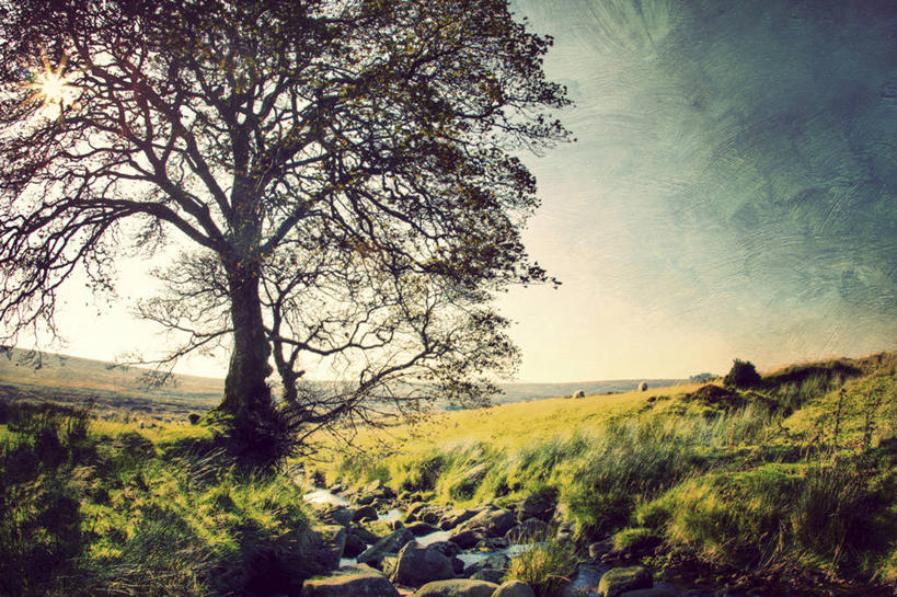 无人,横图,室外,白天,爱尔兰,地形,云,树,天空,自然,摄影,宁静,威克洛郡,彩图,独处