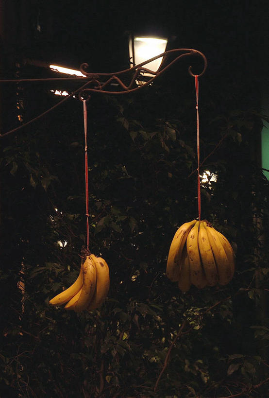 无人,竖图,室外,夜晚,路灯,香蕉,水果,西班牙,巴塞罗那,吊挂,悬挂,串,挂,饮食,零售,摄影,健康食物,熟食店