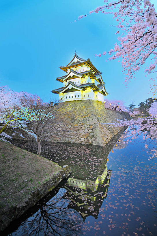 无人,竖图,室外,白天,旅游,度假,美景,植物,建筑,樱花,日本,亚洲,对称,日本文化,反射,城堡,景观,果树,樱桃树,历史,娱乐,树,树木,绿色,自然,享受,休闲,景色,放松,摄影,生长,成长,宁静,自然风光,东亚,本州,护城河,万里无云,本州岛,日本国,青森,青森县,东北地方,弘前,弘前市,弘前城,鹰冈城,完美