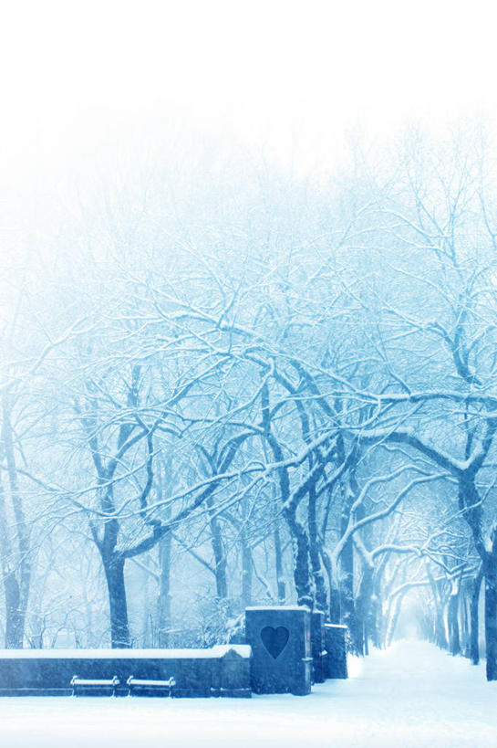 无人,公园,竖图,室外,白天,旅途,雪,纽约,冬天,天气,树,自然,寒冷,摄影,东亚人,纽约州,中国人,旅行,巷