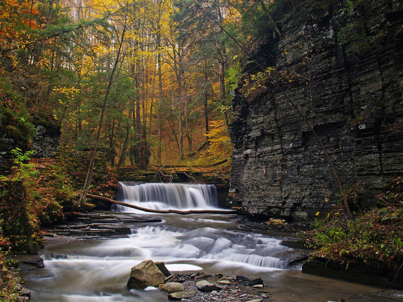 无人,横图,室外,白天,美景,瀑布,森林,水,美国,景观,流水,小溪,自然,景色,摄影,宁静,岩层,自然风光,捷克共和国,纽约州,摩拉维亚,岩石,秋天,旅行