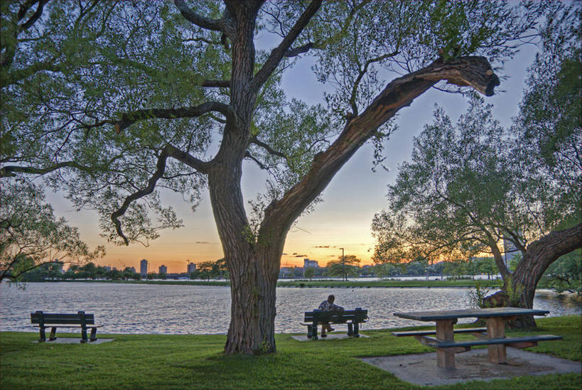 一个人,公园,坐,横图,室外,河流,美景,椅子,美国,朦胧,模糊,长椅,河岸,景观,流水,座位,草,树,背面,天空,自然,黄昏,景色,放松,摄影,宁静,环境,享乐,自然风光,波士顿,马萨诸塞,查尔斯河,休闲活动,旅行,独处