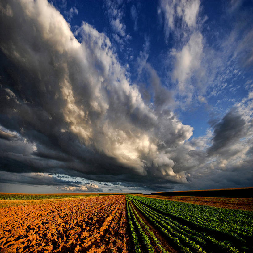 无人,方图,室外,旅游,度假,农业,美景,法国,欧洲,地平线,地形,景观,田地,云,辽阔,地面,娱乐,风景,天空,自然,黄昏,享受,休闲,广阔,景色,放松,摄影,宁静,一望无际,环境,阿尔萨斯,西欧,法兰西,自然风光,延伸,中欧,法兰西共和国,天地相交,法兰西第五共和国,斯特拉斯堡,无边无际,一马平川,阿尔萨斯大区,下莱茵省
