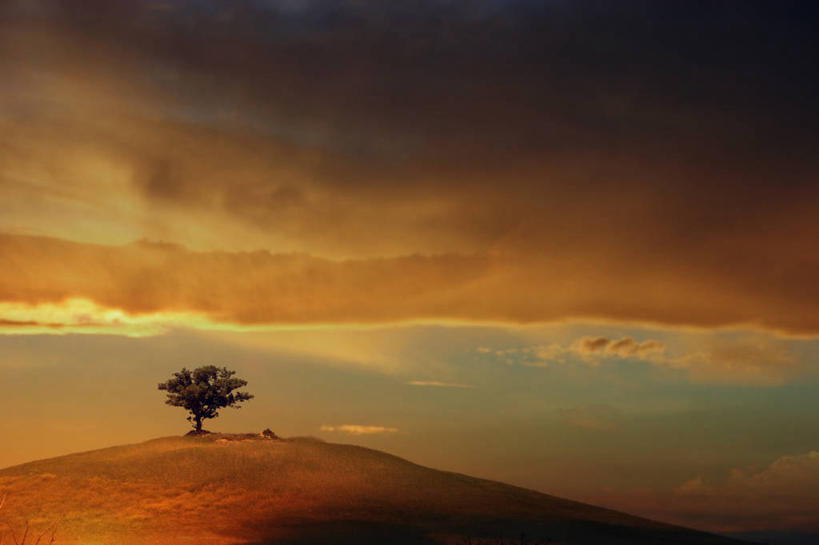 无人,横图,室外,美景,意大利,景观,云,褐色,树,风景,天空,自然,黄昏,春天,景色,摄影,宁静,环境,南欧,自然风光,意大利文化,托斯卡纳区,皮恩札,旅行,独处