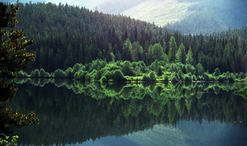 无人,横图,室外,白天,旅游,度假,湖,美景,森林,山,加拿大,对称,反射,地形,景观,娱乐,树,风景,自然,享受,休闲,景色,放松,摄影,宁静,环境,自然风光,惠斯勒,大不列颠哥伦比亚,旅行