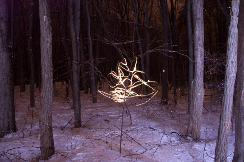 无人,横图,室外,森林,雪,美国,发光,冬天,光亮,树干,自然,黄昏,寒冷,摄影,宁静,环境,照亮,北美,北美洲,美洲,佛蒙特州,佛蒙特,绿岭之州,伯灵顿,北亚美利加洲,亚美利加洲,新英格兰,式样,美利坚合众国