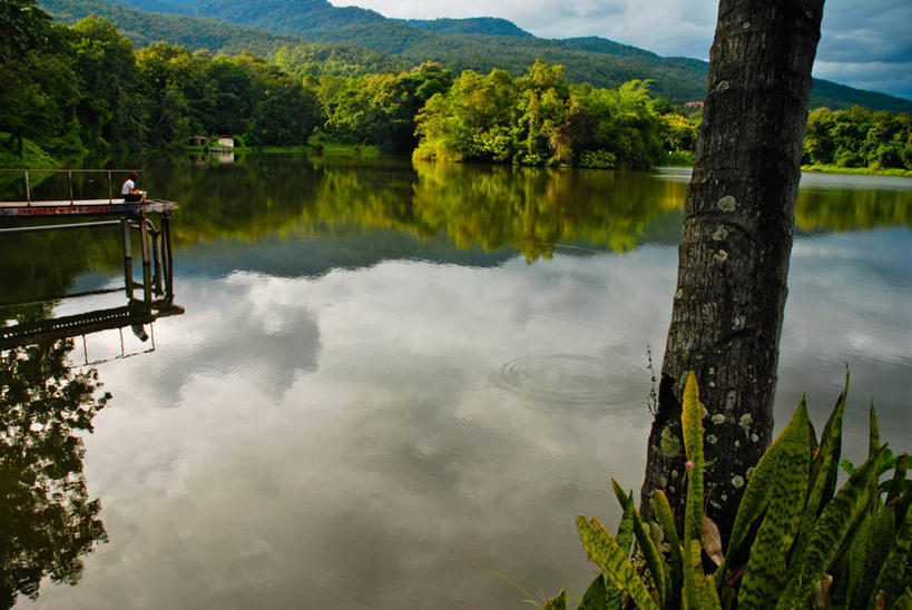 无人,横图,室外,白天,美景,山,水,泰国,反射,景观,水库,树,树干,风景,自然,景色,摄影,宁静,环境,自然风光,印度支那,清迈省,旅行