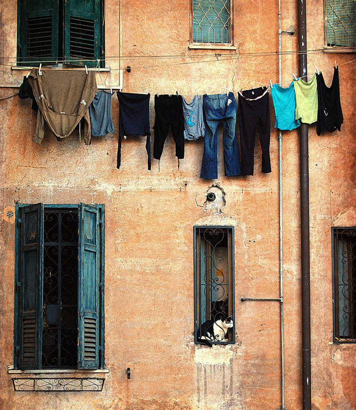 无人,竖图,室外,白天,建筑,猫,意大利,罗马,一排,许多,吊挂,悬挂,整齐,百叶窗,墙,首都,很多,挂,排列,洗衣服,衣服,动物,晾衣服,摄影,队列,南欧,剥落,猫科动物,用具,拉奇奥,罗马省,彩图,家务劳动