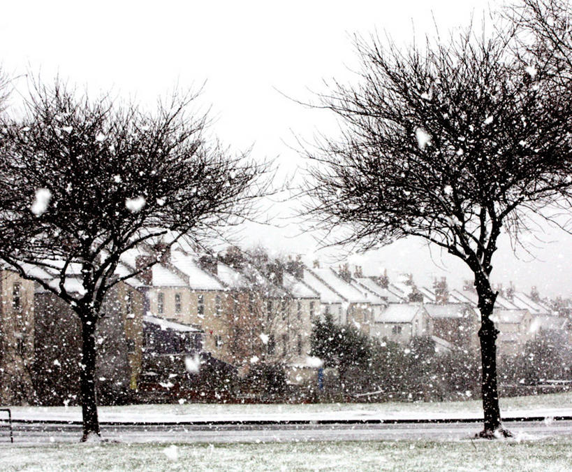 无人,公园,横图,室外,白天,雪,建筑,英国,房屋,雪花,冬天,下雪,寒冷,摄影,北欧,彩图,旅行,居住区