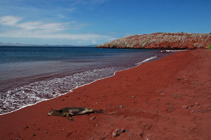 无人,躺,横图,室外,白天,海浪,海洋,海豹,海狮,野生动物,厄瓜多尔,地平线,海岸线,水平线,自然,动物,南美,放松,摄影,宁静,环境,加拉帕戈斯群岛,海滩,彩图,独处