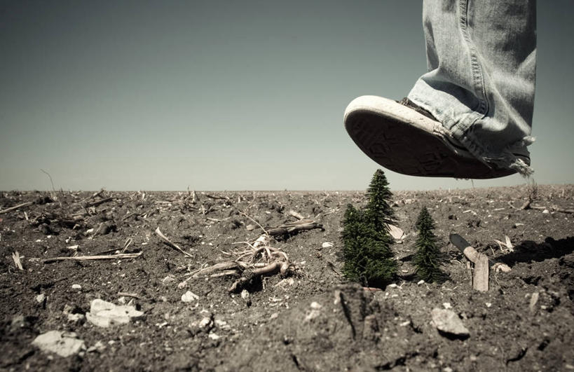 一个人,横图,室外,白天,运动鞋,全球变暖,美国,地平线,地形,泥土,辽阔,地面,牛仔裤,休闲装,破坏,数码合成,破损,树,风景,广阔,人体,摄影,踏步,一望无际,部分,损坏,延伸,干的,足,德克萨斯,天地相交,无边无际,一马平川,彩图