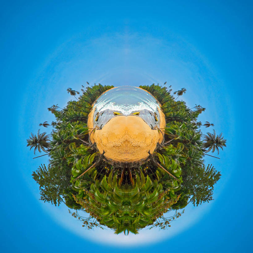 无人,方图,室外,鱼眼镜头,海洋,森林,棕榈树,蓝色背景,对称,环保,沙子,球体,摄影,能源,回收,资源,利用,低碳,循环,计算机制图,持续,完美,想法,彩图