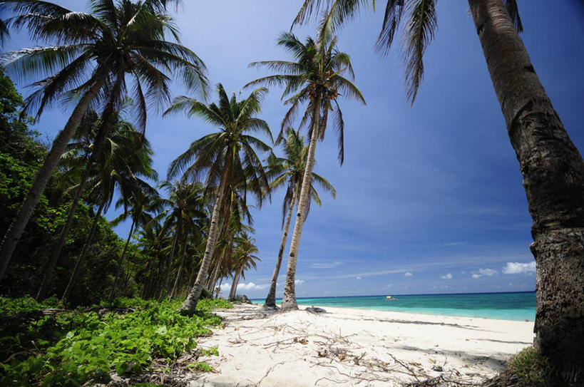 无人,横图,室外,白天,海洋,美景,棕榈树,菲律宾,地形,景观,风景,自然,夏天,景色,摄影,自然风光,长滩岛,海滩,彩图