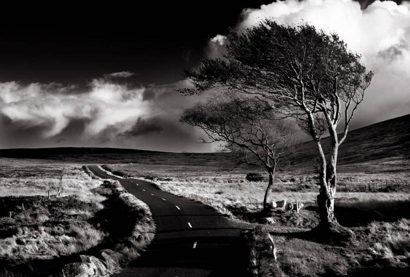 无人,横图,黑白,室外,白天,旅游,度假,美景,风,路,景观,云,分界线,娱乐,草,树,风景,自然,享受,休闲,景色,放松,运输,摄影,宁静,自然风光,透视图,威克洛郡