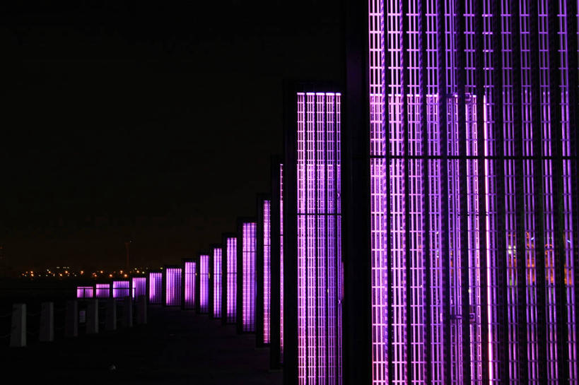 无人,横图,室外,特写,夜晚,建筑,日本,一排,整齐,横滨,排列,紫色,摄影,照亮,脆弱,队列,式样,彩图,多米诺效应