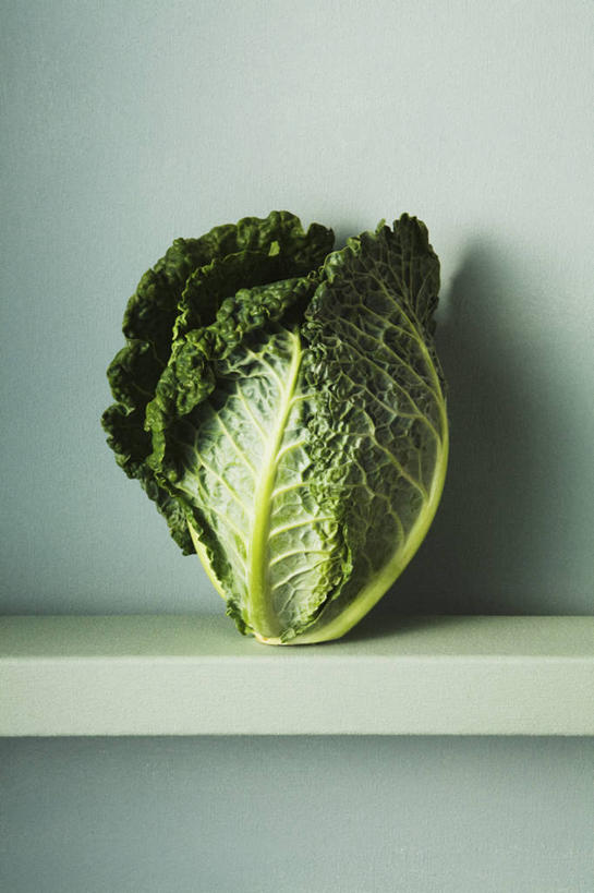 无人,竖图,蔬菜,静物,叶子,蓝色背景,莴苣,饮食,一个,摄影,有机食品,单个,简单,清新,健康食物,彩图,影棚拍摄,壁架