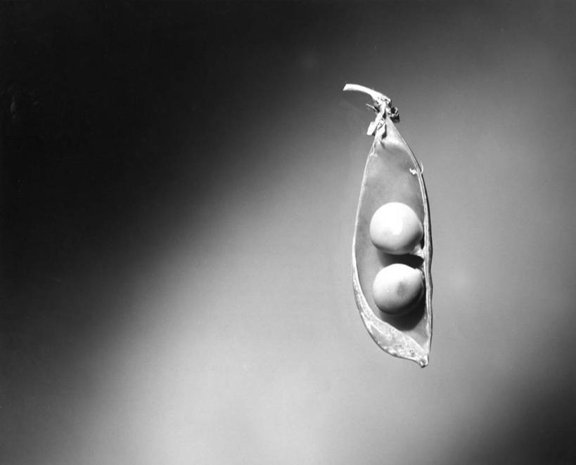 无人,横图,黑白,特写,留白,灰色背景,豌豆,古典,饮食,一个,灰色,摄影,有机食品,单个,简单,清新,健康食物,影棚拍摄