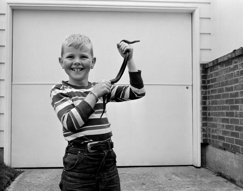 西方人,儿童,头发,一个人,站,举,横图,黑白,室外,白天,正面,幸福,纯洁,骄傲,车库,建筑,宠物,欧洲,美国,欧洲人,仅一个男性,仅一个人,蛇,房屋,休闲装,刺激,小孩,仅一个小孩,金色,放松,可爱,童年,童趣,摄影,享乐,肖像,童真,烂漫,无邪,华盛顿州,西雅图,乌蛇,天真,男孩,男人,男性,白种人,孩子,半身,短发,男生