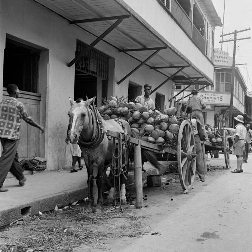 西方人,成年人,站,竖图,方图,黑白,室外,白天,道路,建筑,街道,路,公路,哺乳动物,马,野生动物,椰子,欧洲,特立尼达和多巴哥,欧洲人,五个人,推车,马车,食品,交通,休闲装,历史,饮食,动物,职业,家畜,放松,运输,摄影,健康食物,白种人,马路,步行