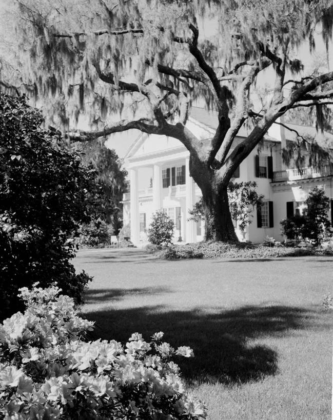 无人,竖图,黑白,室外,白天,农业,草坪,建筑,美国,庭院,历史,摄影,生长,灌木,北美,高雅,北美洲,美洲,橡树,豪宅,美国文化,种植园,北卡罗来纳州,北亚美利加洲,亚美利加洲,北卡罗来纳,焦油脚根之州,黑油鞋根之州,老北州,寄生藤,美利坚合众国