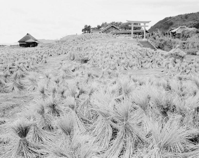 无人,横图,黑白,室外,白天,农作物,美景,日本,景观,田地,千叶县,自然,景色,摄影,宁静,自然风光,富山,小屋