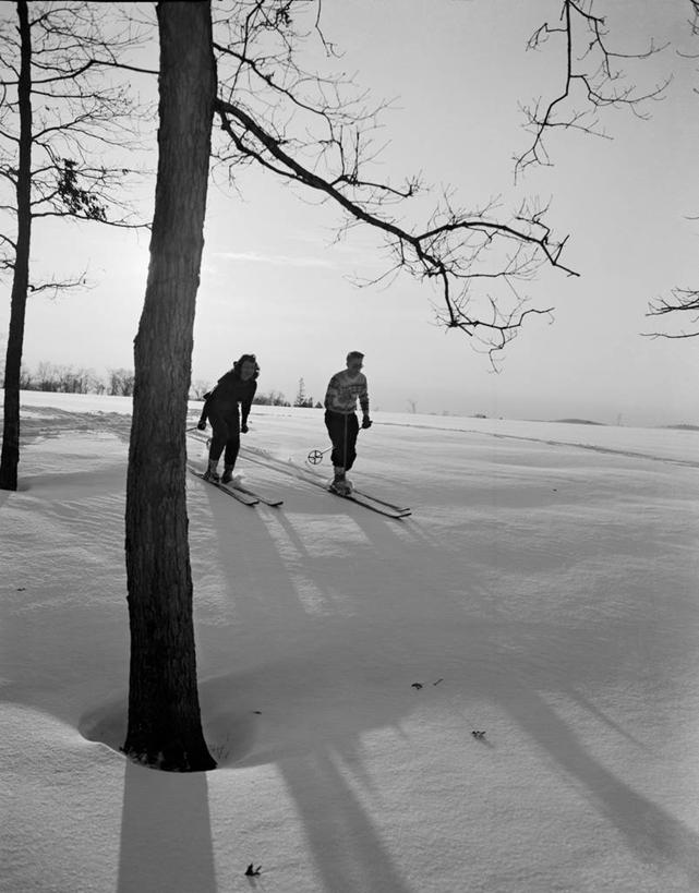 两个人,竖图,黑白,室外,白天,旅游,山,雪,美国,朦胧,模糊,冬天,树,放松,摄影,滑雪运动,休闲活动