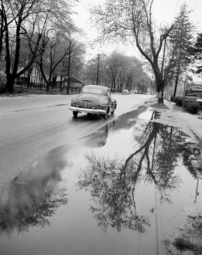 无人,竖图,黑白,室外,白天,雨,路,美国,反射,古典,树,运输,摄影,长岛,纽约州,水坑