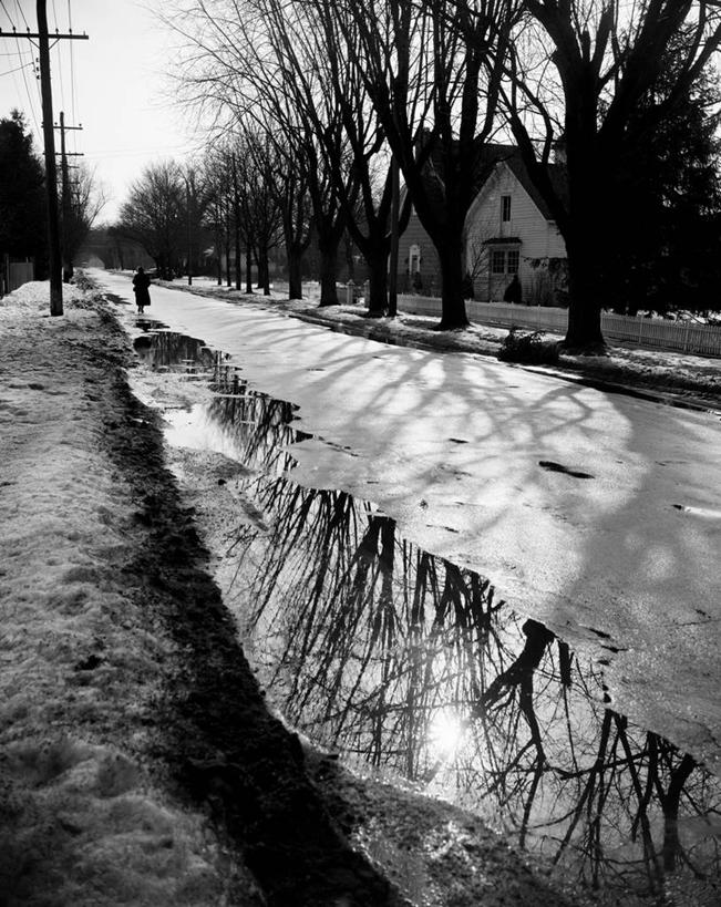 竖图,黑白,室外,白天,消失点,水,雪,街道,美国,阴影,反射,房屋,冬天,古典,寒冷,摄影,金属丝,剪影,长岛,林荫大道